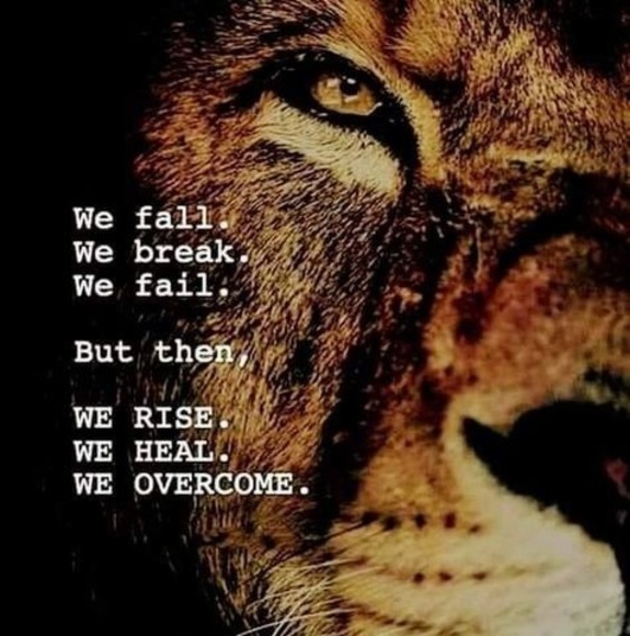 Meet your Posher, Rudy - Picture 1 of 1